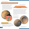 Телескоп LEVENHUK DISCOVERY SKY T76 с книгой 77832